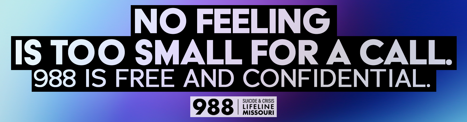 988 MO_No Feeling Too Small_1900x500 copy